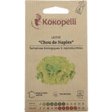 Kokopelli Bio sal&aacute;t batavia "Chou de Naples"