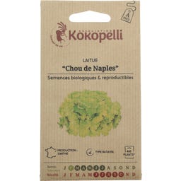 Kokopelli Bio salát batavia 