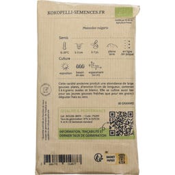 Kokopelli Bio fazol keříčkový 