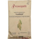 Kokopelli Bio tyčkový fazol 