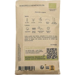 Kokopelli Bio tyčkový fazol 