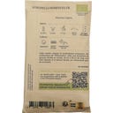 Kokopelli Bio tyčkový fazol 