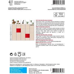 Semenarna Ljubljana Kohlrabisamen 