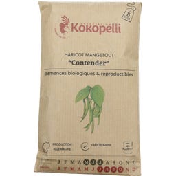 Kokopelli Bio keříčková fazole 