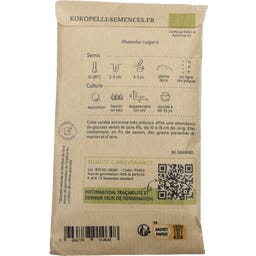 Kokopelli Bio keříčková fazole 