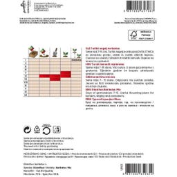 Semenarna Ljubljana Türkische-Nelken-Samen – Mischung - 1 g