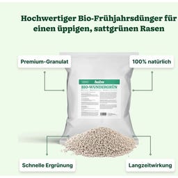 Halm Reparieren & Wachsen 100 m²