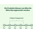 Halm Reparieren & Wachsen 40m²