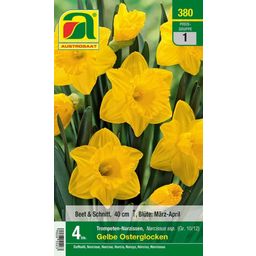 AUSTROSAAT Yellow Daffodils - 4 Bulbs