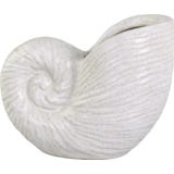 Chic Antique Vase Muschel