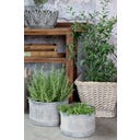 Chic Antique Übertopf mit Rillen 2er