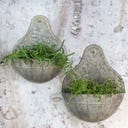 Chic Antique Wandblumentopf 2er