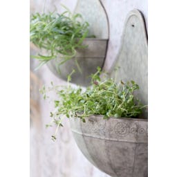 Chic Antique Wandblumentopf 2er