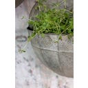 Chic Antique Wandblumentopf 2er