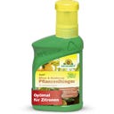 Neudorff Azet Zitrus- & Mediterran PflanzenDünger - 250 ml
