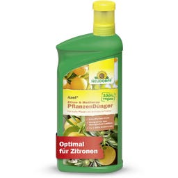 Neudorff Azet Zitrus- & Mediterran PflanzenDünger - 1 l