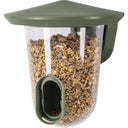 Singing Friend Bird Feeder 