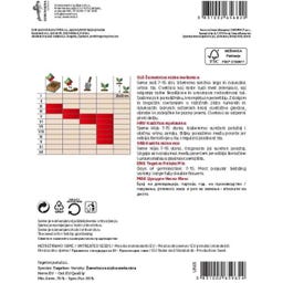 Studentenblumensamen (niedrig) – Mischung - 2 g