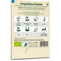 Samen Maier Störböna Utan Tråd 