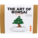 Gift Republic Die Kunst des Bonsai - Pflanzset - 1 Set