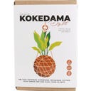 Gift Republic Die Kunst des Kokedama - DIY Set