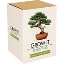 Gift Republic Grow It - Bonsai Bäume