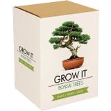Gift Republic Grow It - Bonsai B&auml;ume