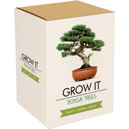 Gift Republic Grow It - Bonsai Bäume - 1 Set