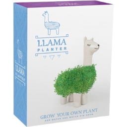Gift Republic Green Lama - 1 Stk.