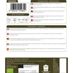 Bavicchi Gräslök, Eko - 2 g