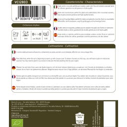 Bavicchi Bladgrönsaker 