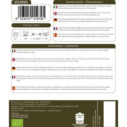 Bavicchi Bladgrönsaker 