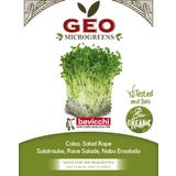 Bavicchi Organic Sprouting Seeds &lsquo;Rocket&rsquo;
