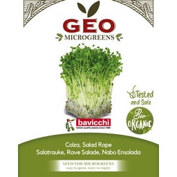 Bavicchi Semi di Germogli di Colza Bio - 50 g