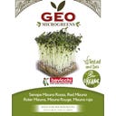 Semi di Germogli di Senape Mizuna Rossa Bio - 15 g