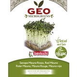 Bavicchi Bio Keimsprossen "Roter Mizuna"