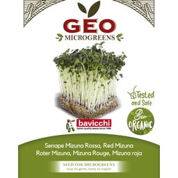 Semi di Germogli di Senape Mizuna Rossa Bio - 15 g