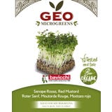 Bavicchi Bio kalčki "Rdeča gorčica"