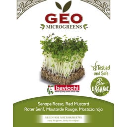 Bavicchi Semi di Germogli di Senape Rossa Bio - 15 g