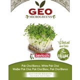 Bavicchi Bio kalčki "Beli Pak Choi"