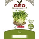 Bavicchi Semi di Germogli di Tatsoi Bio - 15 g