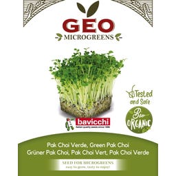Bavicchi Semi di Germogli di Pak Choi Verde Bio - 15 g