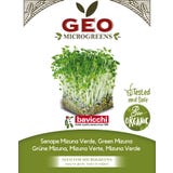 Graines pour Microgreens Bio &laquo; Mizuna Verte &raquo;