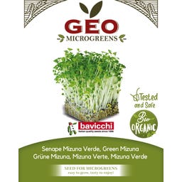 Semi di Germogli di Senape Mizuna Verde Bio - 15 g