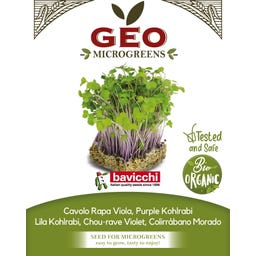 Semi di Germogli di Cavolo Rapa Viola Bio - 15 g
