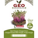 Bavicchi Semi di Germogli di Bieta Chioggia Bio - 15 g