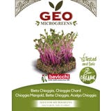 Bavicchi Semi di Germogli di Bieta Chioggia Bio