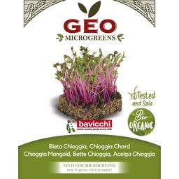 Bavicchi Semi di Germogli di Bieta Chioggia Bio - 15 g
