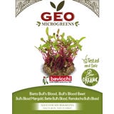 Bavicchi Bio kalčki "Mangold Bull's Blood"