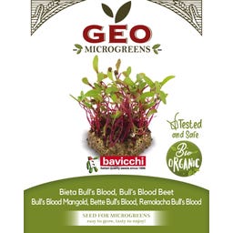 Semi di Germogli di Bieta Bull's Blood Bio - 15 g